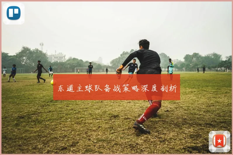东道主球队备战策略深度剖析